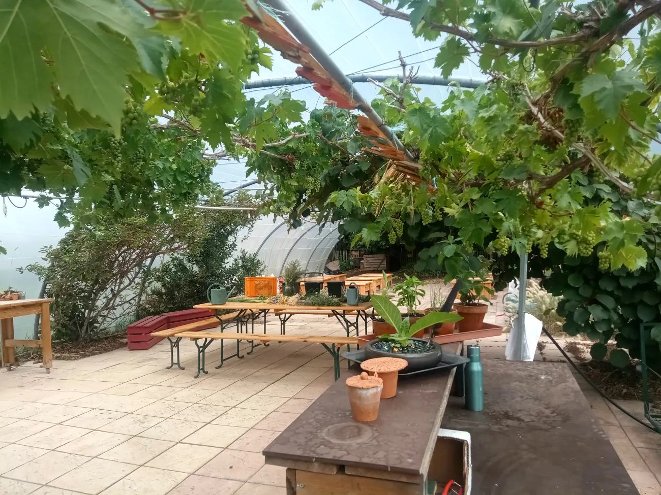 jardins de cocagne tahon image img 20230727 131828 815 24