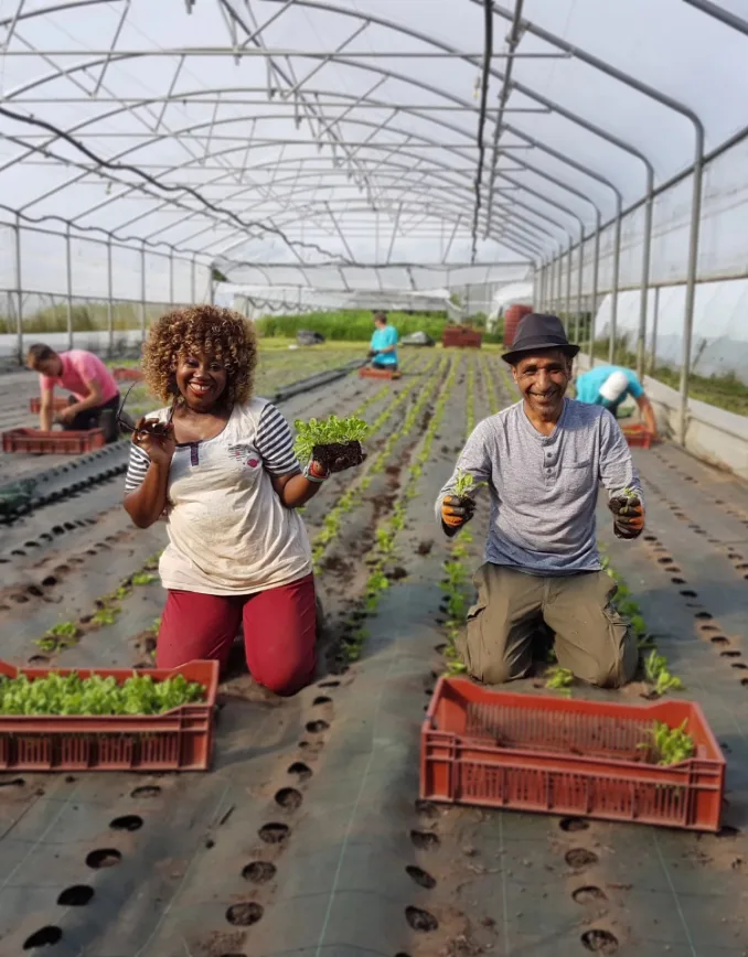 jardins de cocagne tahon image portrait plantation scaled 65