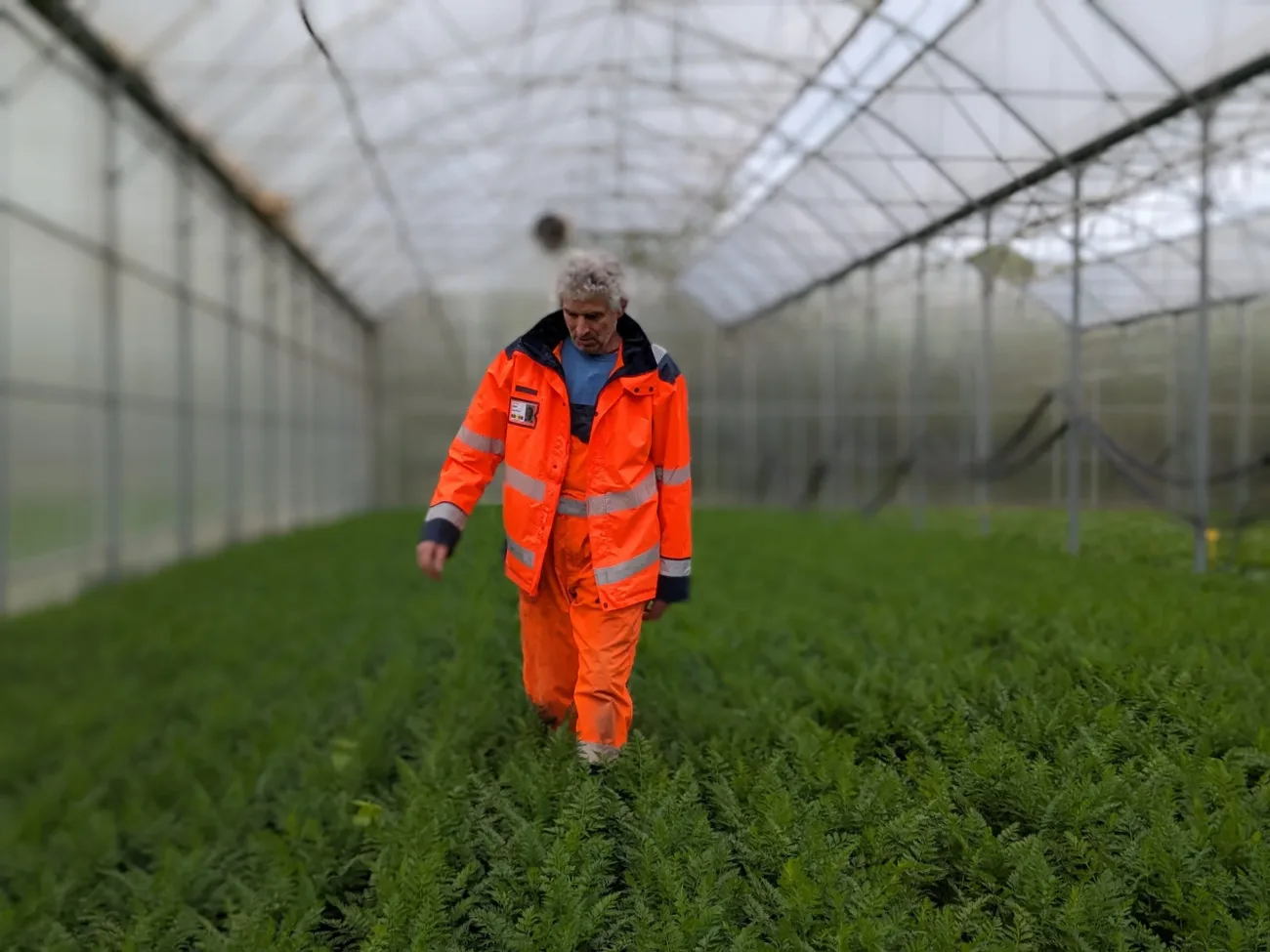 jardins de cocagne tahon image pxl 20240417 150113450 portrait scaled 14