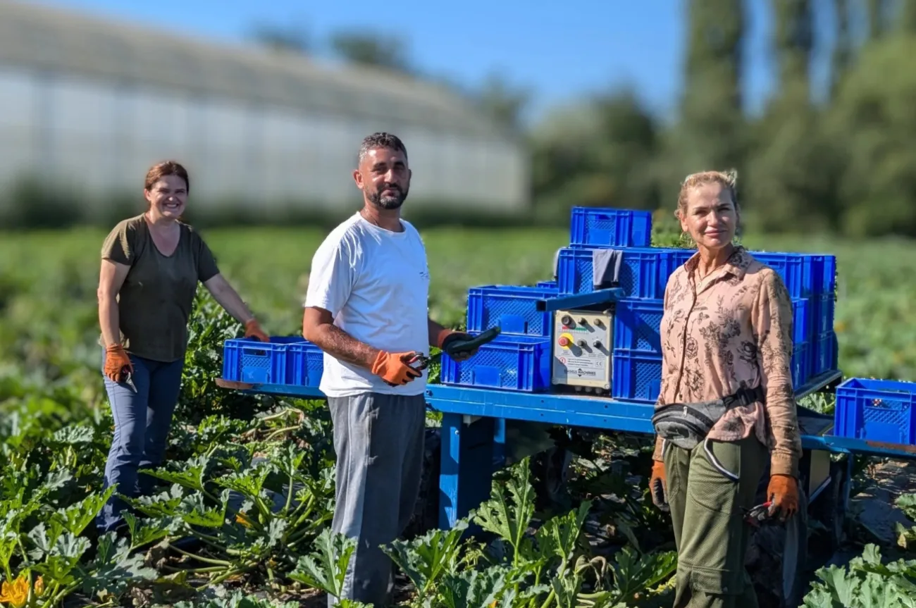 jardins de cocagne tahon image pxl 20240815 080238293 portrait2 scaled 12