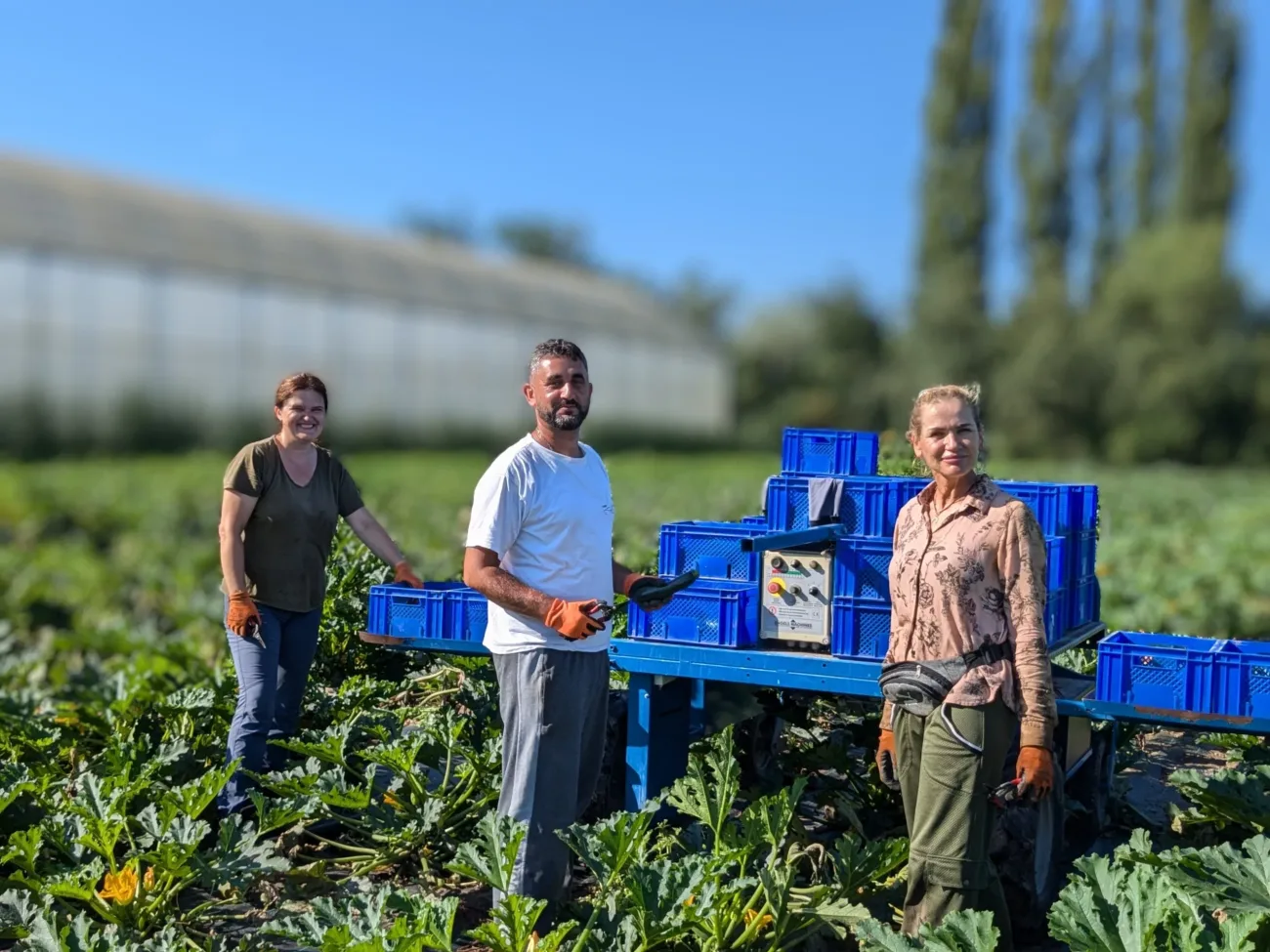 jardins de cocagne tahon image pxl 20240815 080238293 portrait2 scaled 13